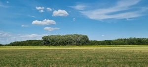 Loturi de teren 638 mp - curent tras la teren - Crevedia - imagine 4