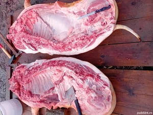 Vand Porci - imagine 4