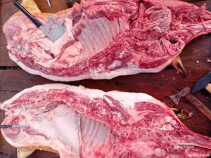 Vand Porci - imagine 2