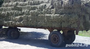 Baloti lucerna coasa 1