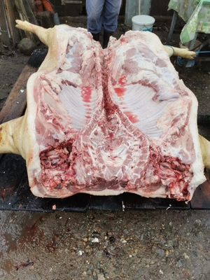 Porc de vanzare - imagine 4