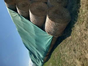 Baloti lucernă de vânzare