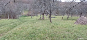 Vând teren intravilan - imagine 3