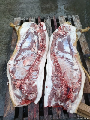 Vând porc  - imagine 3