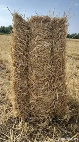 baloți  paie orzoaică 
