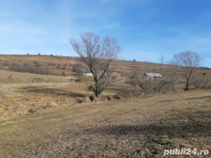 vand teren extravilan - imagine 4