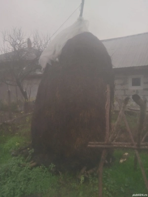 Vand 2 siri de lucerna 