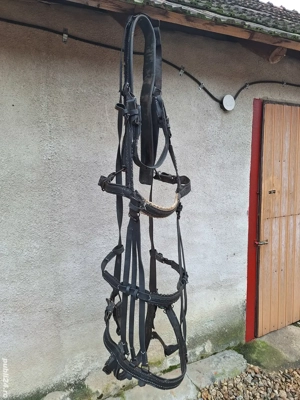 vand pentru cai   - imagine 5