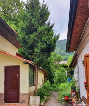  Ofer spre inchiriere apartament 2 camere central