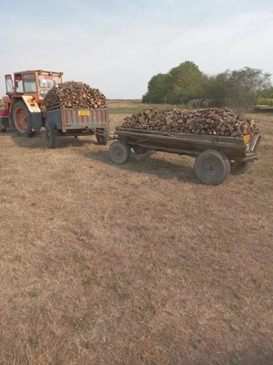 Vand lemne sau schimb cu cereale - imagine 2