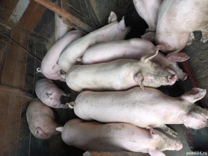 De vanzare - imagine 3