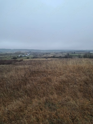 Vând teren extravilan-comuna Crasna-Gorj-10912 mp - imagine 2