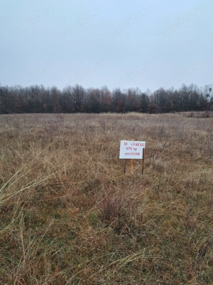 Vând teren extravilan-comuna Crasna-Gorj-10912 mp - imagine 4