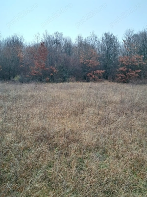 Vând teren extravilan-comuna Crasna-Gorj-10912 mp - imagine 5