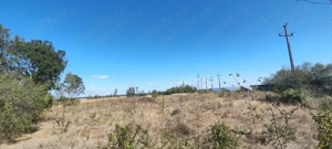 Vând teren 8 euro mp intravilan cadastral loc de casa 2441 mp .Comuna Jugureni , judetul Dâmbovița