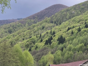 Proprietar - imagine 4