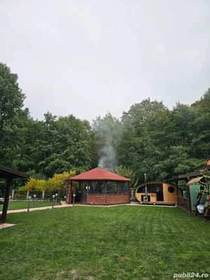 Proprietar - imagine 5