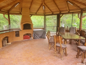 Proprietar - imagine 6