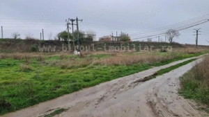  Teren Intravilan 5.000 mp   Perfect pentru Parc Fotovoltaic, Hale sau Lotizare  Agigea - imagine 3