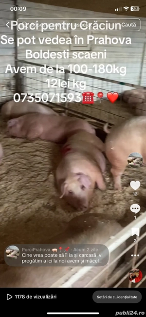 porci de carne - imagine 3