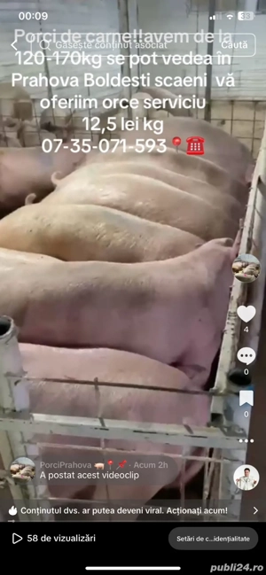 porci de carne - imagine 2