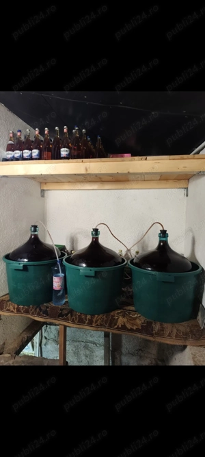 Vin De Casă - Rosu Si Alb - imagine 5