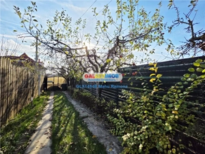 Casa individuala (P+1+M), Balotesti, Martha Bibescu - imagine 4