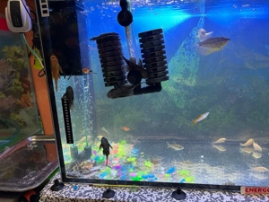 acvariu 150l ehipat - imagine 2