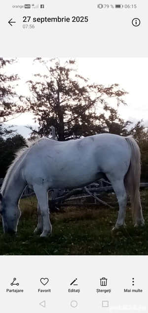 Vind cal ptru abator 