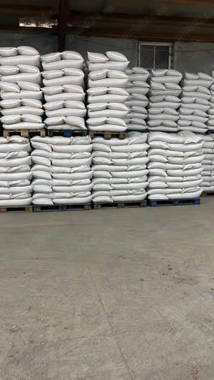 Porumb devanzare ambalat 35 kg 