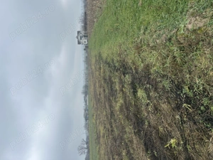 Teren de vânzare în Alparea con.Osorhei 2600 mp.30 mp - imagine 2