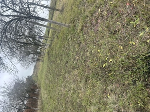 Teren de vânzare în Alparea con.Osorhei 2600 mp.30 mp - imagine 3