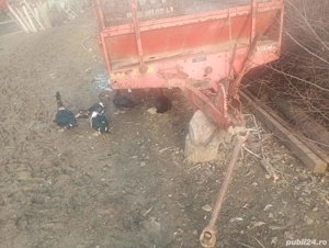 vânt mig perfect funcțional