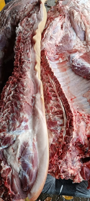 Vând porci pentru Crăciun carcasă sau întreg sau viu 