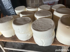 branza de vaca   - imagine 2