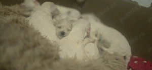 Cautam . - imagine 2