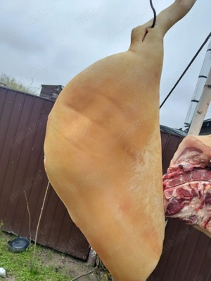 Carcasa porc de vanzare