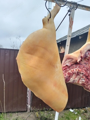 Carcasa porc de vanzare - imagine 4