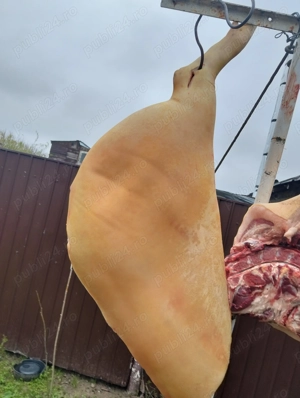 Carcasa porc de vanzare - imagine 5