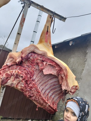 Carcasa porc de vanzare - imagine 3