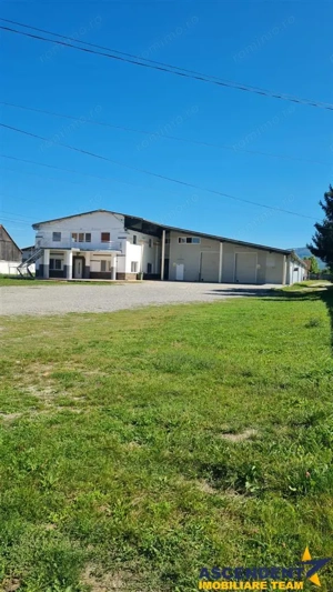 Hala multifunctionala, Prejmer, Central - imagine 4