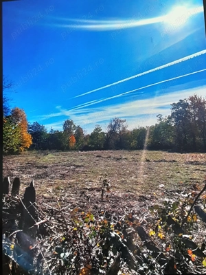 Vând teren 4200mp int și ext.sat Romani de Jos.Horezu 