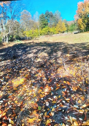 Vând teren 4200mp int și ext.sat Romani de Jos.Horezu  - imagine 2