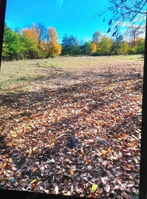 Vând teren 4200mp int și ext.sat Romani de Jos.Horezu  - imagine 3