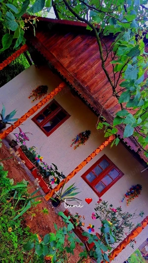 Casa noua cu mansarda si 1.24 hectare teren intravilan  - imagine 2