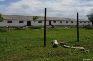 Hala   Depozit de inchiriat  - imagine 2