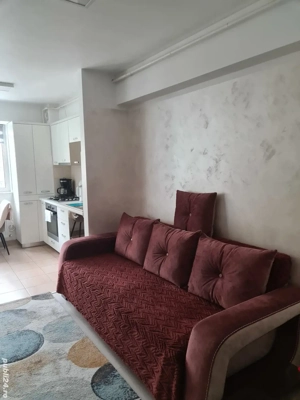 Apartament regim hotelier ,exclus escorte - imagine 3