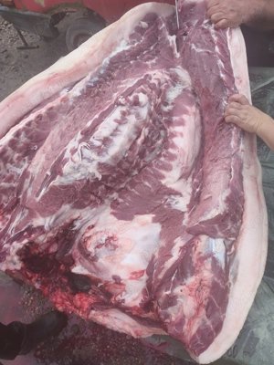 Vând purcea de tară