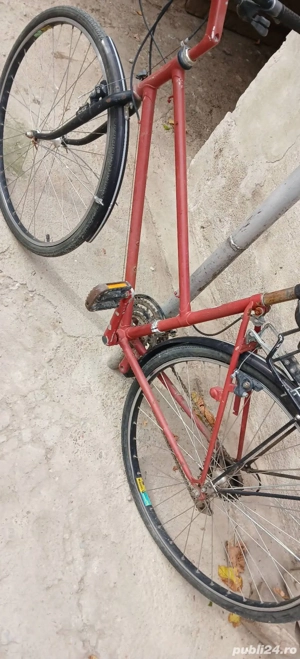 Bicicleta pt Adulți