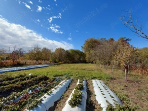 Casa de vânzare + gradina in sat Zagujeni - imagine 4